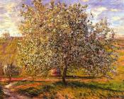 克劳德 莫奈 : Tree in Flower near Vetheuil